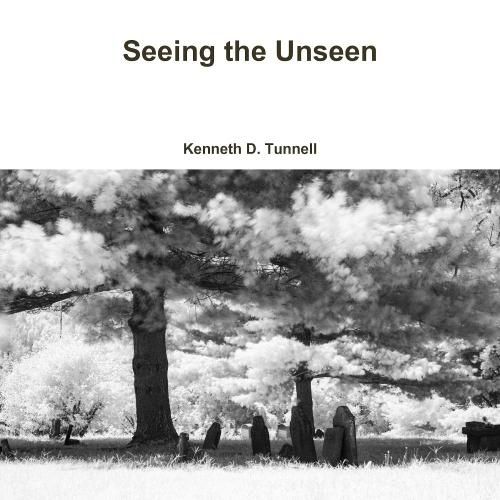 Cover image for Seeing the Unseen