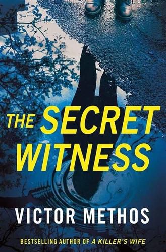 Cover image for The Secret Witness