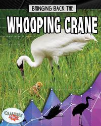 Cover image for Bringing Back the Whooping Crane