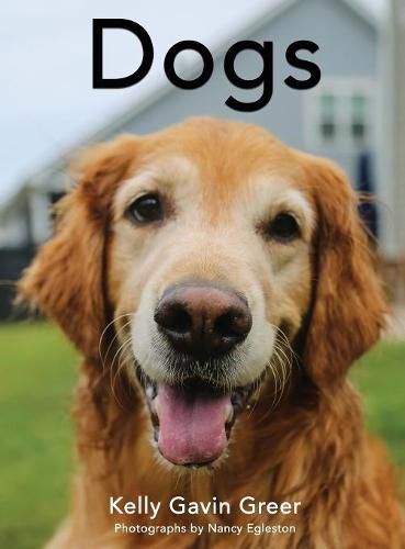 Cover image for Dogs