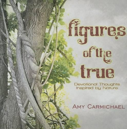 Cover image for Figures of the True: Devotional Thoughts Inspired by Nature