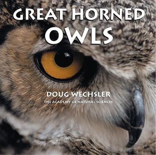 Cover image for Great Horned Owls