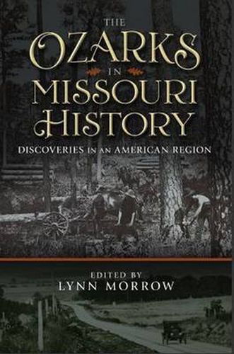 Cover image for The Ozarks in Missouri History: Discoveries in an American Region