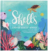 Cover image for Shells: A Pop-Up Book of Wonder