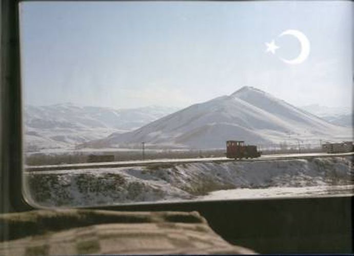 Cover image for Linda Herzog
