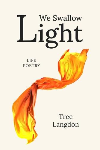 Cover image for We Swallow Light