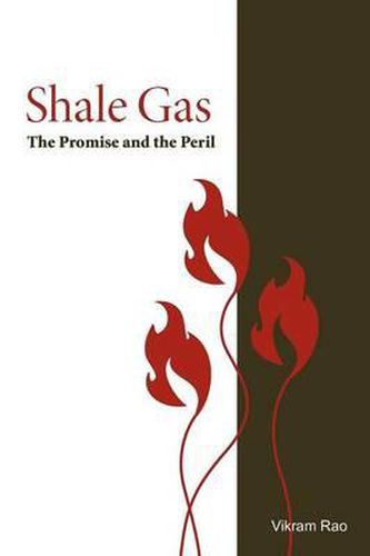 Cover image for Shale Gas: The Promise and the Peril