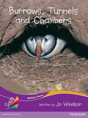Cover image for Sails Fluency Purple Set 2: Burrows, Tunnels and Chambers