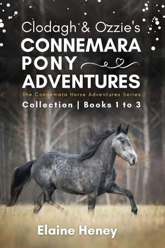 Clodagh & Ozzie's Connemara Pony Adventures