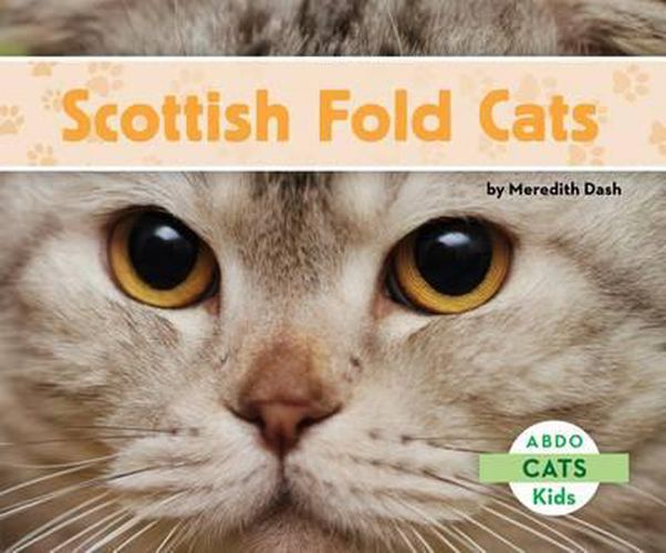 Cover image for Scottish Fold Cats