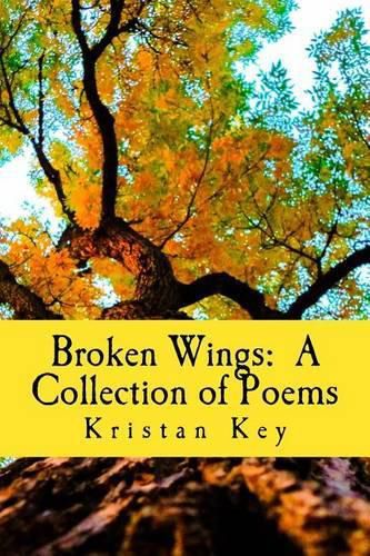 Cover image for Broken Wings: A Collection of Poems
