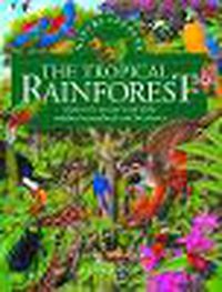 Cover image for The Tropical Rainforest