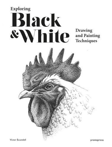 Cover image for Exploring Black and White: Drawing and Painting Techniques