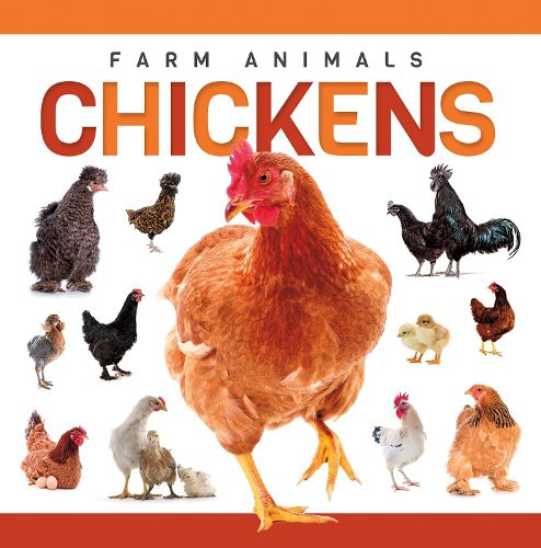 Cover image for Chickens