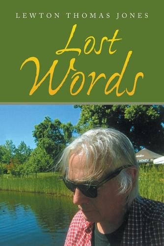 Cover image for Lost Words