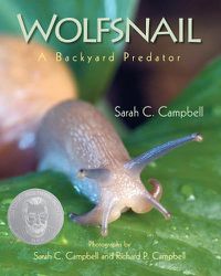 Cover image for Wolfsnail: A Backyard Predator