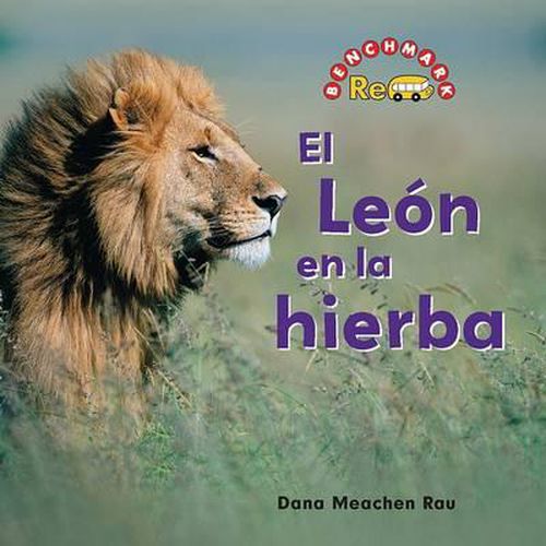 El Leon En La Hierba (the Lion in the Grass)