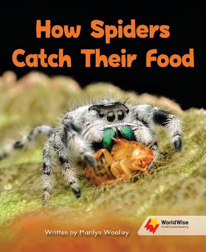 Cover image for How Spiders Catch Their Food