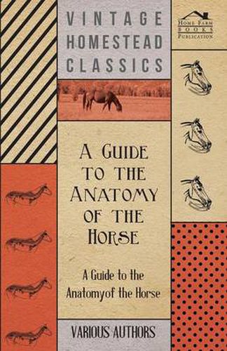 Cover image for A Guide to the Anatomy of the Horse - A Collection of Historical Articles on the Skeleton, Hoof, Teeth, Locomotion and Other Aspects of Equine Anatomy