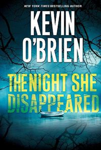 Cover image for The Night She Disappeared