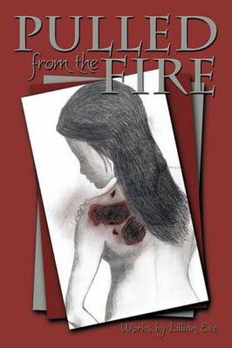 Cover image for Pulled from the Fire