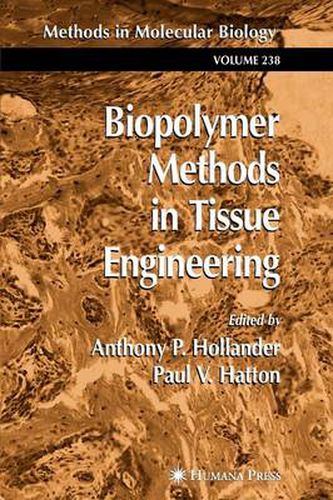 Cover image for Biopolymer Methods in Tissue Engineering