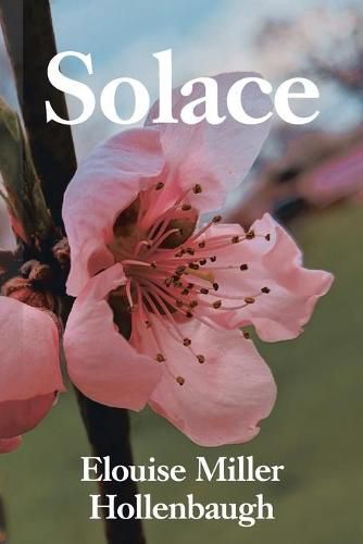 Cover image for Solace