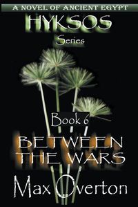 Cover image for Between the Wars