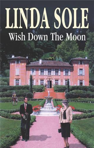 Cover image for Wish Down the Moon