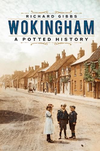 Cover image for Wokingham: A Potted History