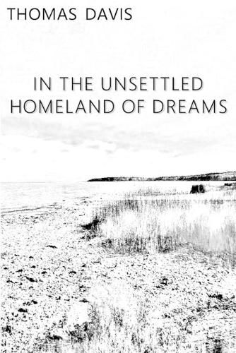 In the Unsettled Homeland of Dreams