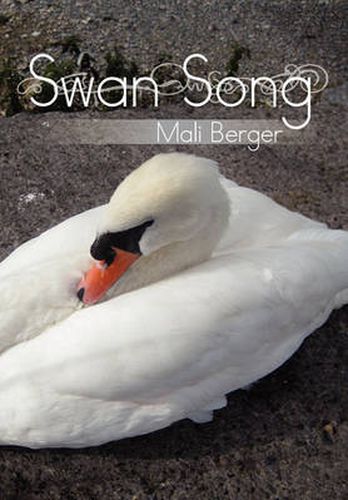 Cover image for Swan Song: The Great Magical Unknowing Elegance