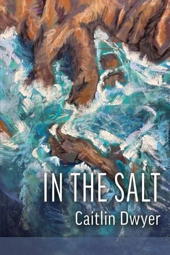 Cover image for In the Salt