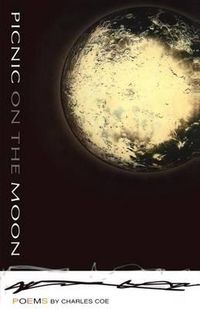 Cover image for Picnic on the Moon