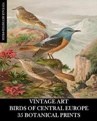Cover image for Vintage Art: Birds of Central Europe: 35 Botanical Prints
