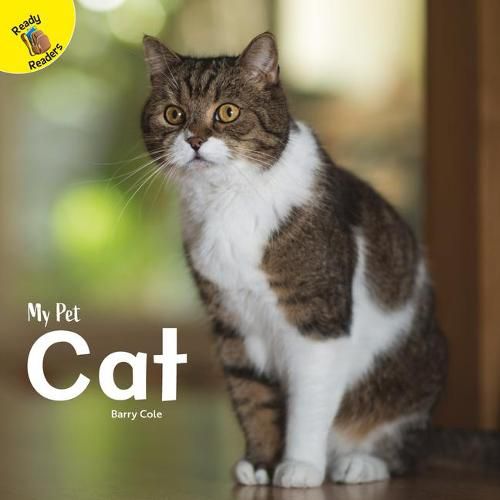 Cover image for Cat