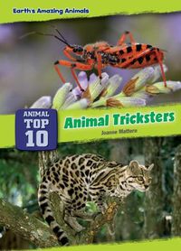 Cover image for Animal Tricksters