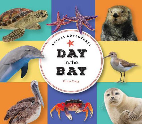Cover image for Animal Adventures: Day in the Bay