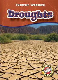 Cover image for Droughts