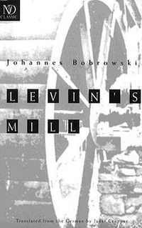 Cover image for Levin's Mill