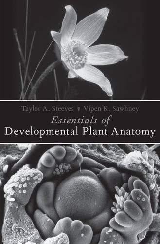 Cover image for Essentials of Developmental Plant Anatomy