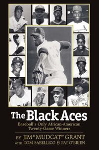Cover image for The Black Aces: Baseball's Only African-American Twenty-Game Winners
