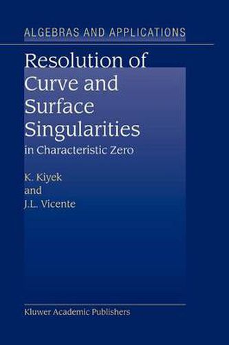 Cover image for Resolution of Curve and Surface Singularities in Characteristic Zero