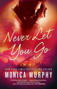 Cover image for Never Let You Go