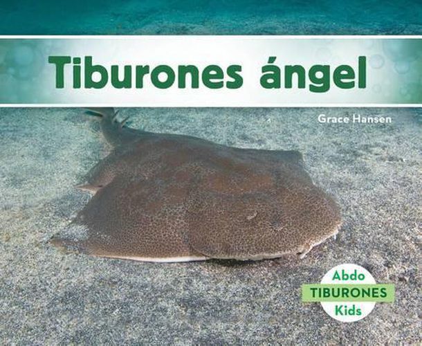 Cover image for Tiburones aNgel/ Angel Sharks