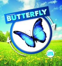 Cover image for Life Cycle of a Butterfly