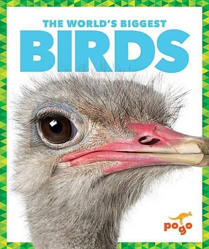 Cover image for The World's Biggest Birds