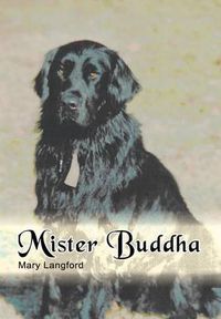 Cover image for Mister Buddha