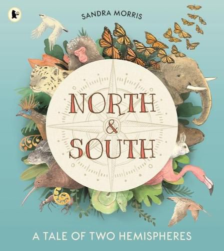 North and South: A Tale of Two Hemispheres