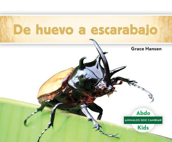 Cover image for De Huevo a Escarabajo / Becoming a Beetle